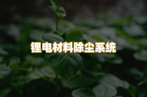 锂电材料除尘系统